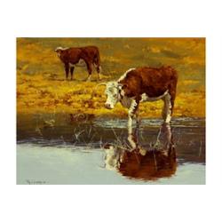 Schmidt, Tim (b. 1950)  