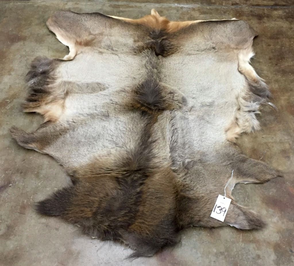 Elk Hide