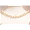 Image 1 : #3-STERLING SILVER FRESHWATER PEARL NECKLACE