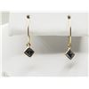Image 1 : #40-14K YELLOW GOLD BLACK DIAMOND HOOP EARRINGS