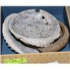 Image 1 : BOX W/3 LARGE OYSTER SHELLS