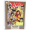 Image 1 : X-MEN FROM THE ASHES - SOFT COVER BOOK