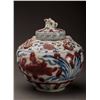 Image 2 : 16thC Iron Red Flazed Fish Porcelain Pot