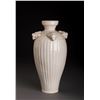 Image 1 : A Rare Animal-head Handle Porcelain Vase