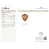 Image 5 : 14KT Rose Gold GIA Certified 42.81ct Morganite and Diamond Necklace