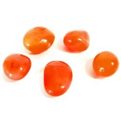 LOT OF 127.3 CTS OF INDIAN CARNELIANS