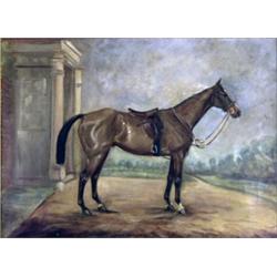 Peggy Mennie. Study of a bay hunter wearing tack standing outside a country house, on canvas, sig...