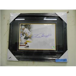 FRAMED & SIGNED DAVE BABYCH