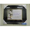 Image 1 : FRAMED & SIGNED DAVE BABYCH