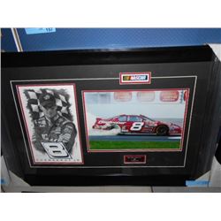 FRAMED DALE EARNHARDT JR PICTURE