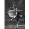 Image 1 : HANS REINHOLD LICHTENBERGER Berlin 1876 - 1957 München