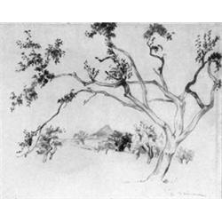 Heinrich Nauen Krefeld 10 1940 Kalkar