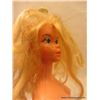 Image 5 : 1975 Ballerina Barbie Parts Only