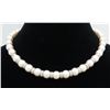 3.60 ctw Diamond and Pearl Necklace - 14KT White Gold