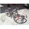 Image 1 : MOTORIZED BICYCLE