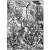 Image 1 : ALBRECHT DÜRER 1471 - Nürnberg - 1528