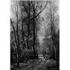 Image 1 : MAX BERGMANN Fürstenberg/Oder 1884 - 1955 Haimhausen