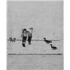 Image 1 : MAX ERNST Brühl 1891 - 1976 Paris