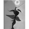 MAN RAY, eigentl. EMANUEL RUDNITZKY Philadelphia 1890 - 1976 Paris