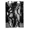 Image 1 : EMIL NOLDE, eigentl. EMIL HANSEN Nolde/Schlesw. 1867 - 1959 Seebüll