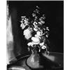 Image 1 : MAURICE DE VLAMINCK Paris 1876 - 1958 Rueil-la-Gadelière
