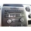 Image 5 : 2009 - FORD F150