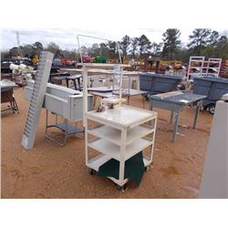 ROLL AROUND METAL STOAGE SHELVES