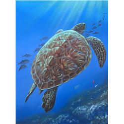 Honu Drift - KAI Waikiki Ocean Art Show, Patrick Ching 2016