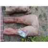 Image 1 : ZOMBIE AUTOPSY DEAD BLOODY ROTTEN ZOMBIE BODY 04