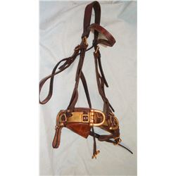 Work horse / training headstall w/brass and leather nose band