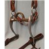 Image 2 : Bridle & reins, bit marked Roy