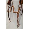 Image 2 : Bridle & reins, bit marked LW
