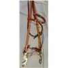 Image 1 : Leather headstall with loose-cheeked curb bit