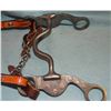 Image 2 : Leather headstall with loose-cheeked curb bit