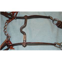 Mexican style silver mounted bit in slide ear headstall