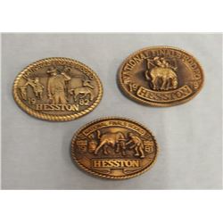 Hesston NFR buckles (3), 79,81,82