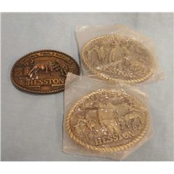 Hesston NFR buckles (3), 81,82,82