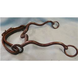 W.T. Gilmer iron curb bit