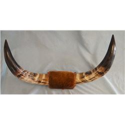 Mounted horns