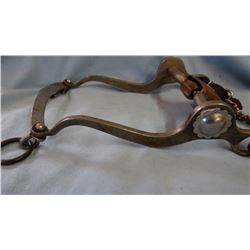 Silver Tip curb bit, silver spots