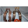 Image 1 : 2 pair new fancy spurs