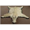 Image 1 : Mountain Goat rug mount