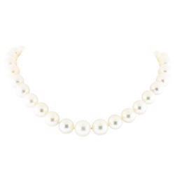 14KT White Gold 11.0mm-15.0mm South Sea Cultured Pearl Necklace