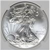Image 2 : 2015 AMERICAN SILVER EAGLE, NGC MS-70 EARLY RELEASES