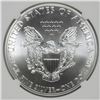 Image 3 : 2015 AMERICAN SILVER EAGLE, NGC MS-70 EARLY RELEASES