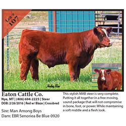 2016 NILE Club Calf Sale