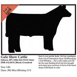 2016 NILE Club Calf Sale