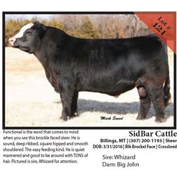 2016 NILE Club Calf Sale