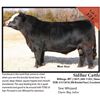 Image 1 : 2016 NILE Club Calf Sale