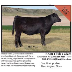 2016 NILE Club Calf Sale